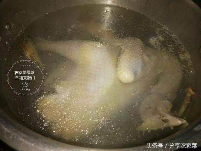 白斬雞你只會用水煮，五星級廚師說這樣永遠煮不出正宗的白斬雞，應該這樣做才行!!!