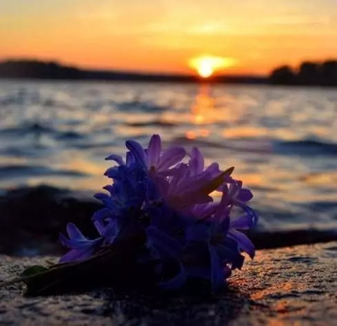 心理測試：4朵鮮花，哪朵會被海浪沖走？測你有沒有錯過真愛？