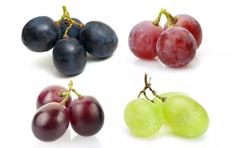 現在才懂原來，「不同顏色的葡萄」有不同的功效，以後照著這樣吃就對了。。。