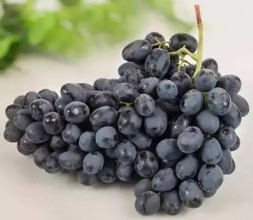 現在才懂原來，「不同顏色的葡萄」有不同的功效，以後照著這樣吃就對了。。。