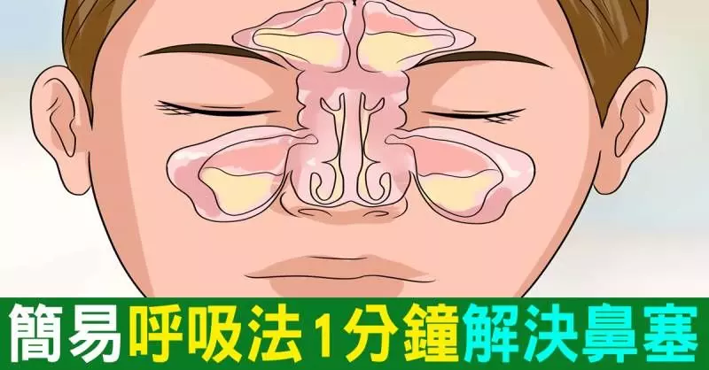 感冒「鼻塞」別擔心！學會簡單「Buteyko呼吸法」，1分鐘內解決鼻塞問題，從此呼吸暢快！